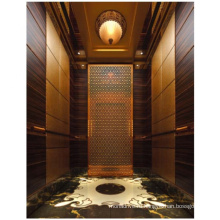 Черное титановое зеркало из нержавеющей стали, освещение мини -семейное пассажирское лифт лифт лифт салона